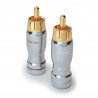 Разъем RCA DAXX T08
